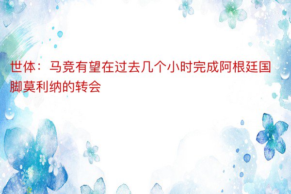 世体：马竞有望在过去几个小时完成阿根廷国脚莫利纳的转会