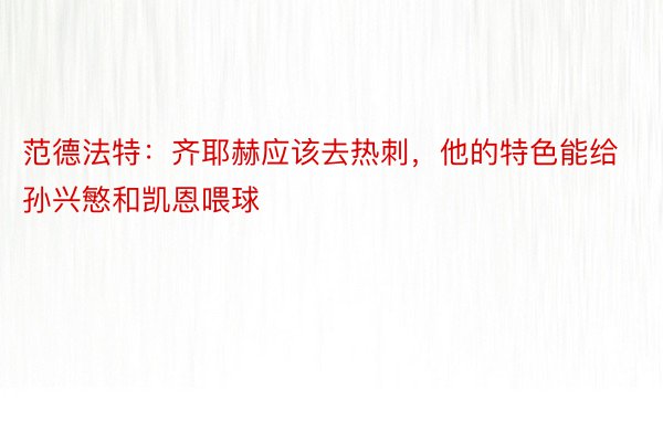 范德法特：齐耶赫应该去热刺，他的特色能给孙兴慜和凯恩喂球