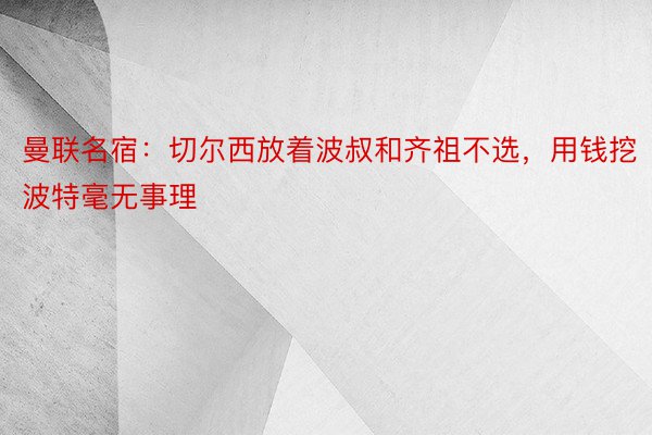 曼联名宿：切尔西放着波叔和齐祖不选，用钱挖波特毫无事理