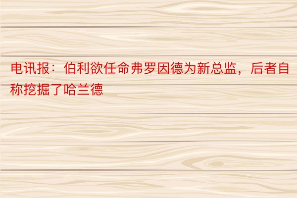 电讯报：伯利欲任命弗罗因德为新总监，后者自称挖掘了哈兰德