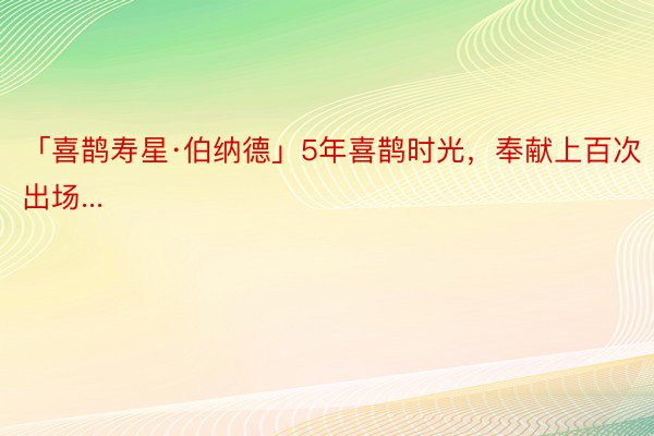 「喜鹊寿星·伯纳德」5年喜鹊时光，奉献上百次出场...