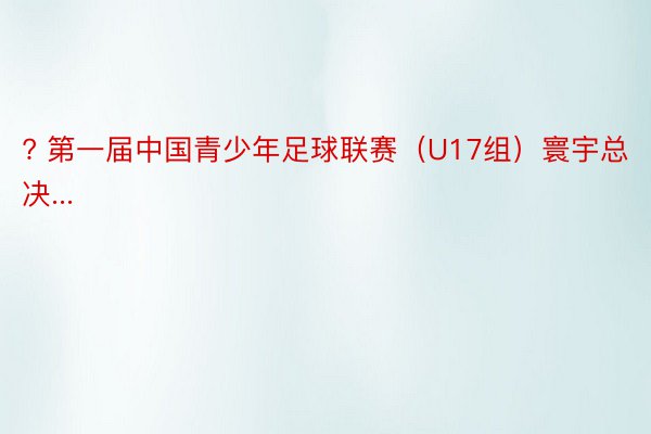 ? 第一届中国青少年足球联赛（U17组）寰宇总决...