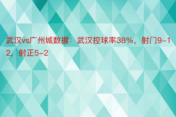 武汉vs广州城数据：武汉控球率38%，射门9-12，射正5-2