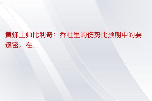 黄蜂主帅比利奇：乔杜里的伤势比预期中的要邃密。在...