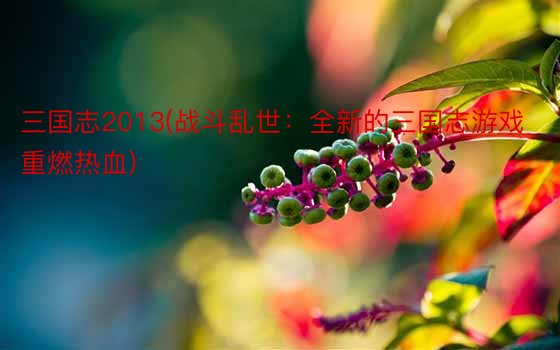 三国志2013(战斗乱世：全新的三国志游戏重燃热血)