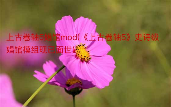 上古卷轴5娼馆mod(《上古卷轴5》史诗级娼馆模组现已面世)